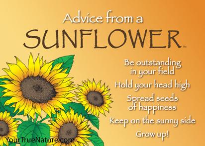 Advice from a Sunflower Jumbo Magnet