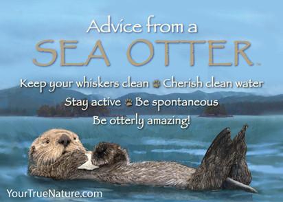 Advice from a Sea Otter Jumbo Magnet