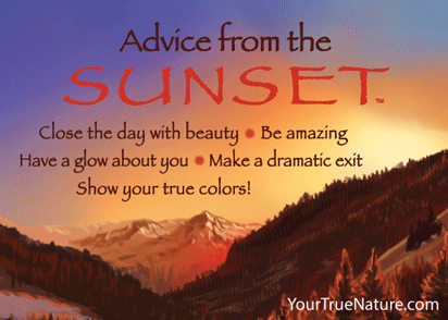 Advice from the Sunset Jumbo Magnet