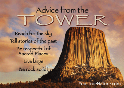 Advice from the Tower - Devils Tower - Jumbo Magnet