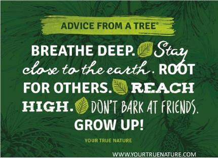 Advice from a Tree - 15th Anniversary Jumbo Magnet
