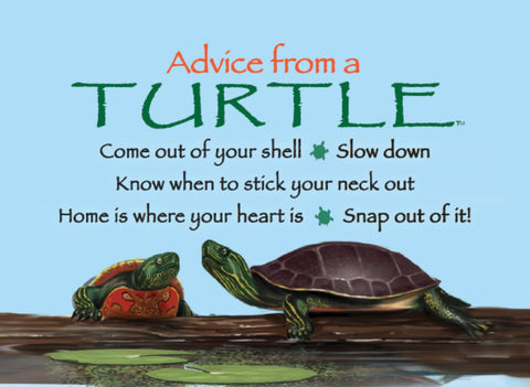 Advice from a Turtle Jumbo Magnet