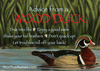 Advice from a Wood Duck Jumbo Magnet
