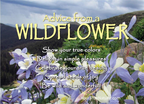 Advice from a Wildflower - Columbine Jumbo Magnet