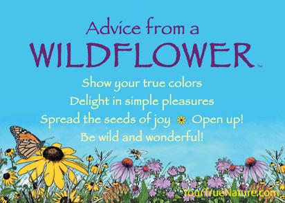 Advice from a Wildflower Jumbo Magnet