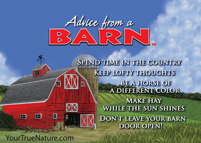Advice from a Barn Jumbo Magnet