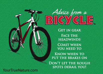 Advice from a Bicycle Jumbo Magnet