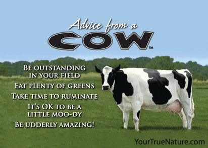 Advice from a Cow Jumbo Magnet