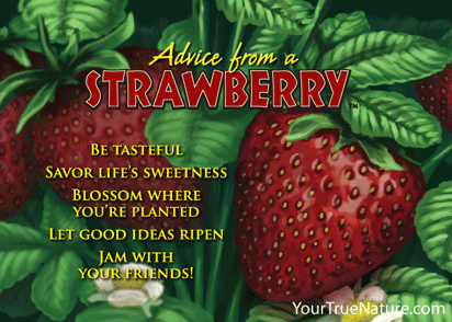 Advice from a Strawberry Jumbo Magnet