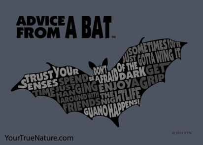 Advice from a Bat Outline Jumbo Magnet