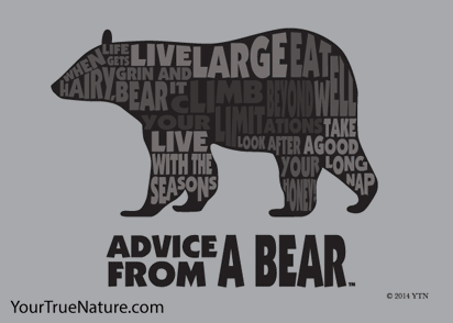 Advice from a Bear Outline Jumbo Magnet