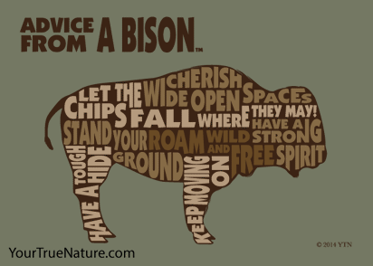 Advice from a Bison Outline Jumbo Magnet