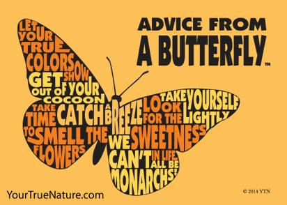Advice from a Butterfly Outline Jumbo Magnet