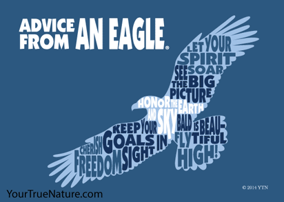 Advice from an Eagle Outline Jumbo Magnet