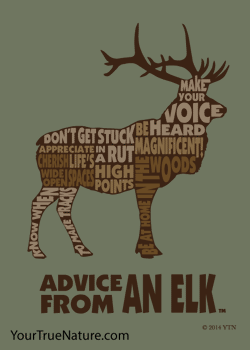Advice from an Elk Outline Jumbo Magnet