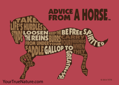 Advice from a Horse Outline Jumbo Magnet