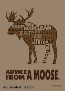 Advice from a Moose Outline Jumbo Magnet