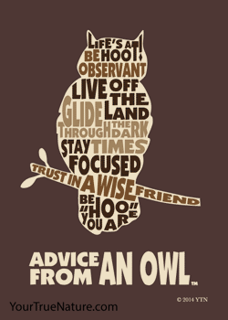 Advice from an Owl Outline Jumbo Magnet