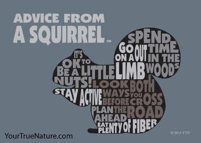 Advice from a Squirrel Outline Jumbo Magnet