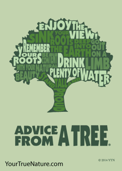 Advice from a Tree Outline Jumbo Magnet