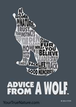 Advice from a Wolf Outline Jumbo Magnet