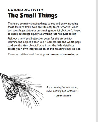 WOW I SAW Mini Journal