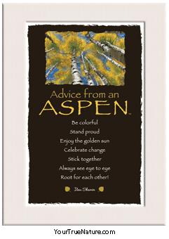 Advice from an Aspen Mini Matted Print