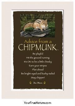Advice from a Chipmunk Mini Matted Print