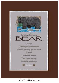 Advice from a Bear Mini Matted Print