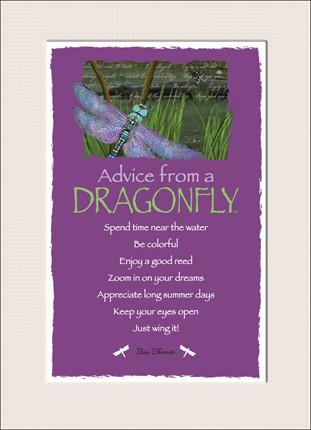 Advice from a Dragonfly Mini Matted Print