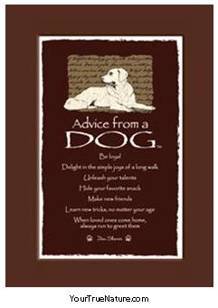 Advice from a Dog Mini Matted Print