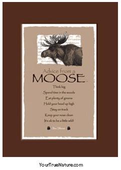 Advice from a Moose Mini Matted Print