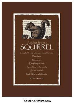 Advice from a Squirrel Mini Matted Print