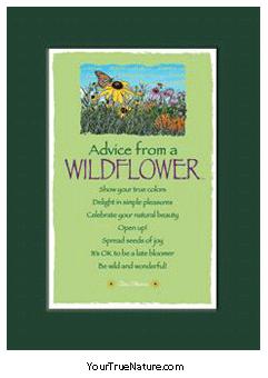 Advice from a Wildflower Mini Matted Print