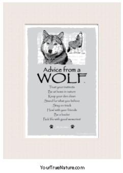Advice from a Wolf Mini Matted Print