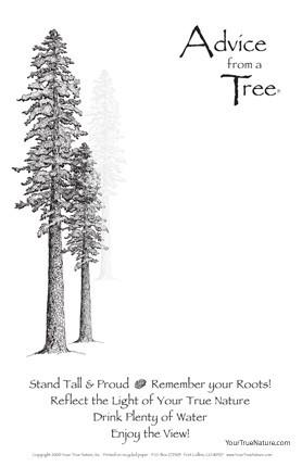 Advice from a Tree Notepad