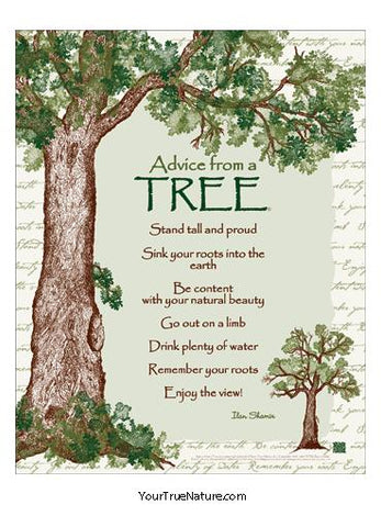 Advice from a Tree Poster