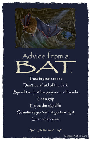 Advice from a Bat Frameable Art Postcard