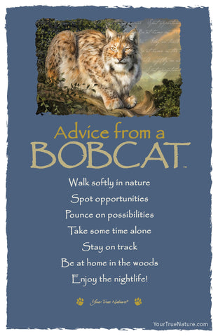 Advice from a Bobcat Frameable Art Postcard