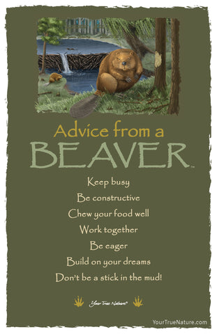 Advice from a Beaver Frameable Art Postcard
