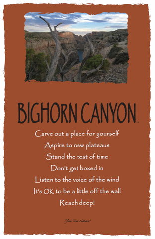 Advice from Bighorn Canyon - Frameable Art Postcard
