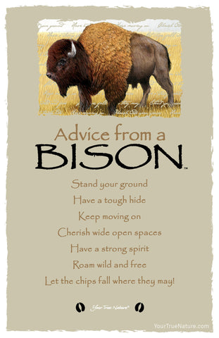 Advice from a Bison Frameable Art Postcard