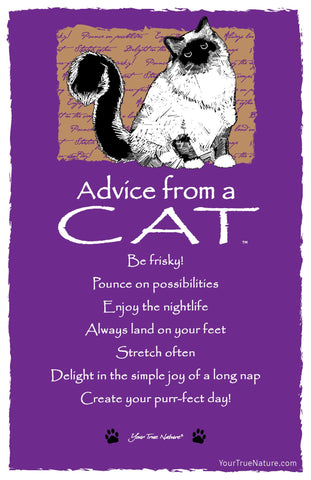 Advice from a Cat Frameable Art Postcard