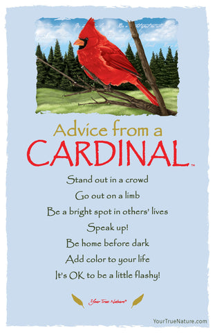 Advice from a Cardinal Frameable Art Postcard