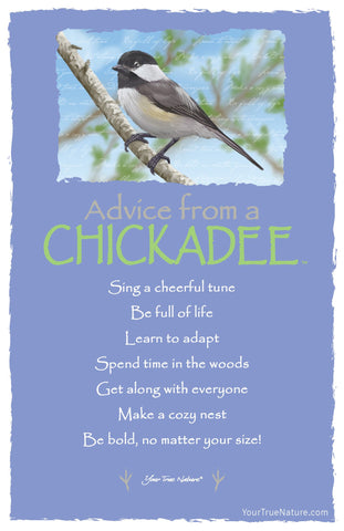 Advice from a Chickadee Fameable Art Postcard