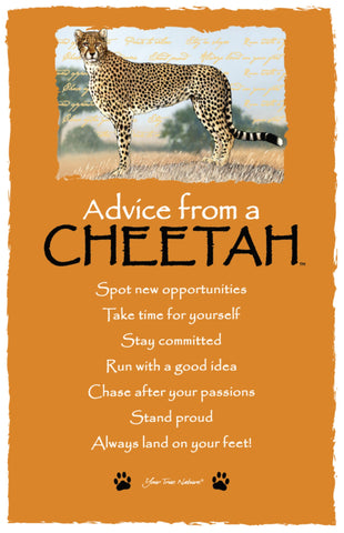 Advice from a Cheetah Frameable Art Postcard