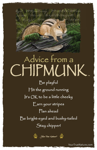 Advice from a Chipmunk Frameable Art Postcard