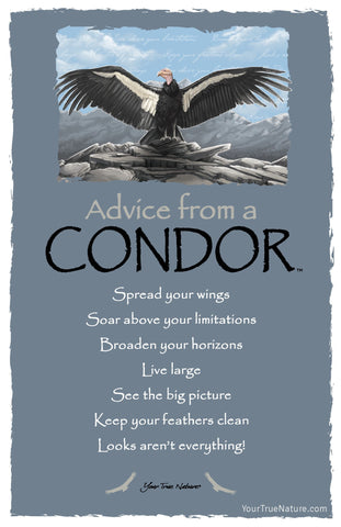 Advice from a Condor Frameable Art Postcard