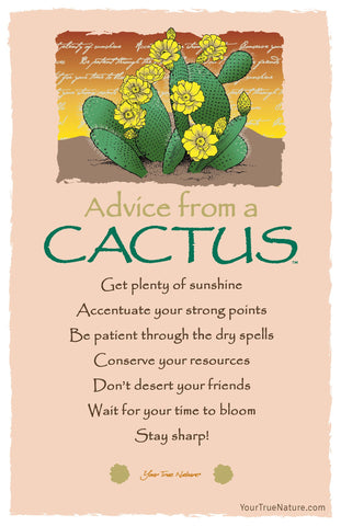 Advice from a Cactus Frameable Art Postcard