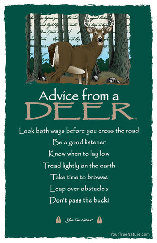 Advice from a Deer Frameable Art Postcard